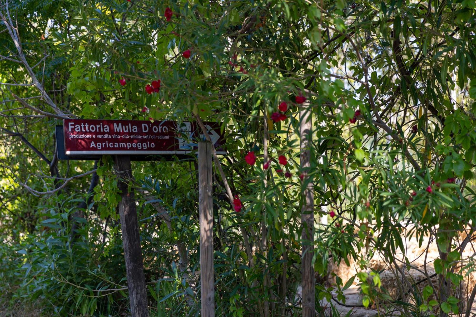 Bio Fattoria Mula D'Oro - Biofattoriamuladoro It - Organic Food, Nature & Relax Mulazzano 외부 사진